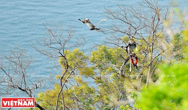 Des bébés doucs testent leurs capacités sous la supervision de leur mère. 