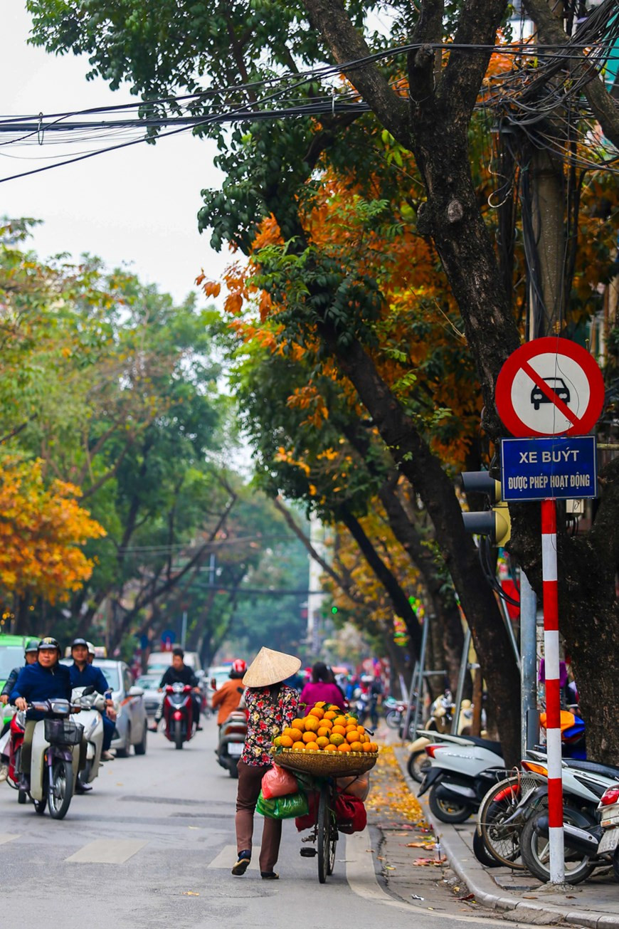 En mars, Hanoï est aussi belle car elle porte une « nouvelle chemise » jaune. Photo : The Dai/Vietnam+