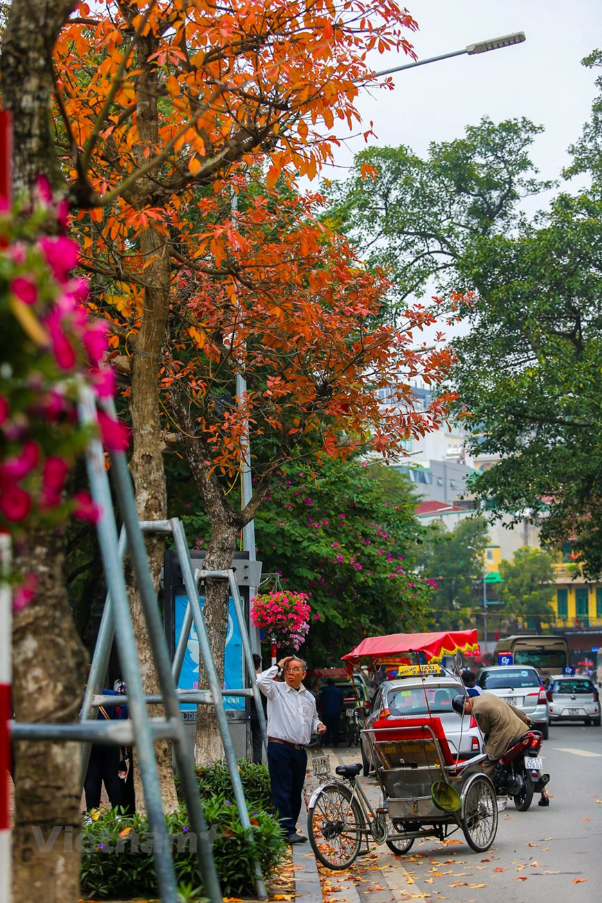 Photo : The Dai/Vietnam+ 