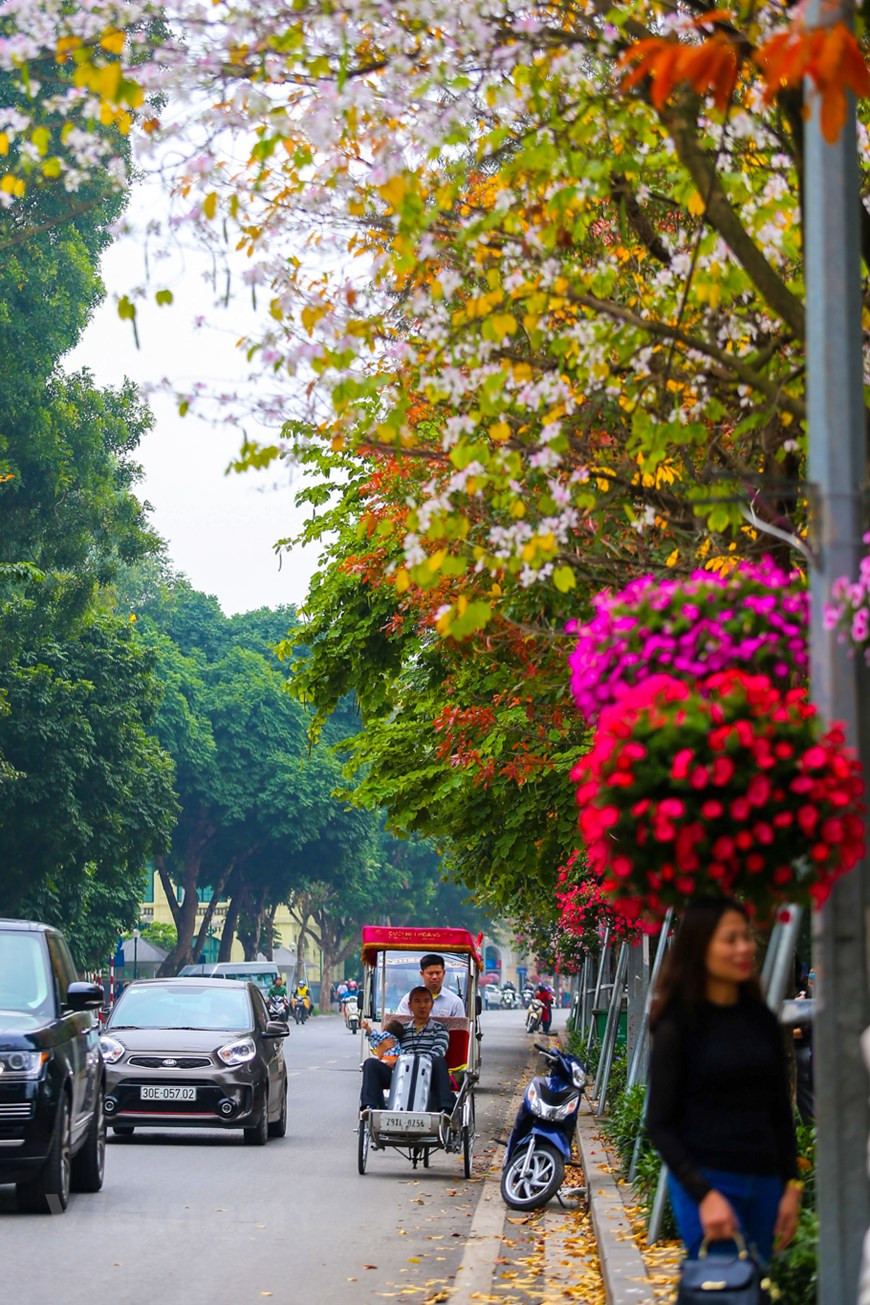 Photo : The Dai/Vietnam+ 