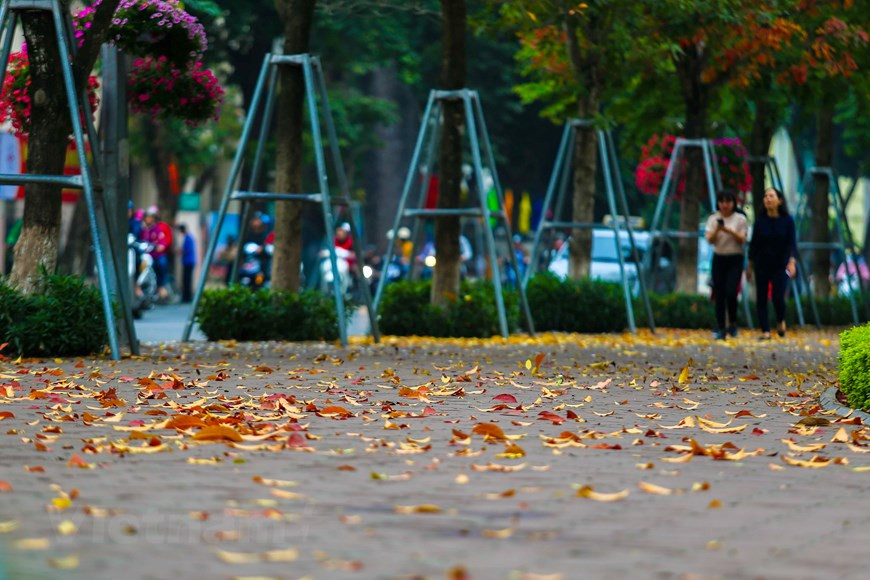 Photo : The Dai/Vietnam+ 