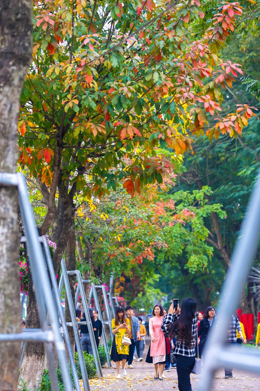 Photo : The Dai/Vietnam+ 