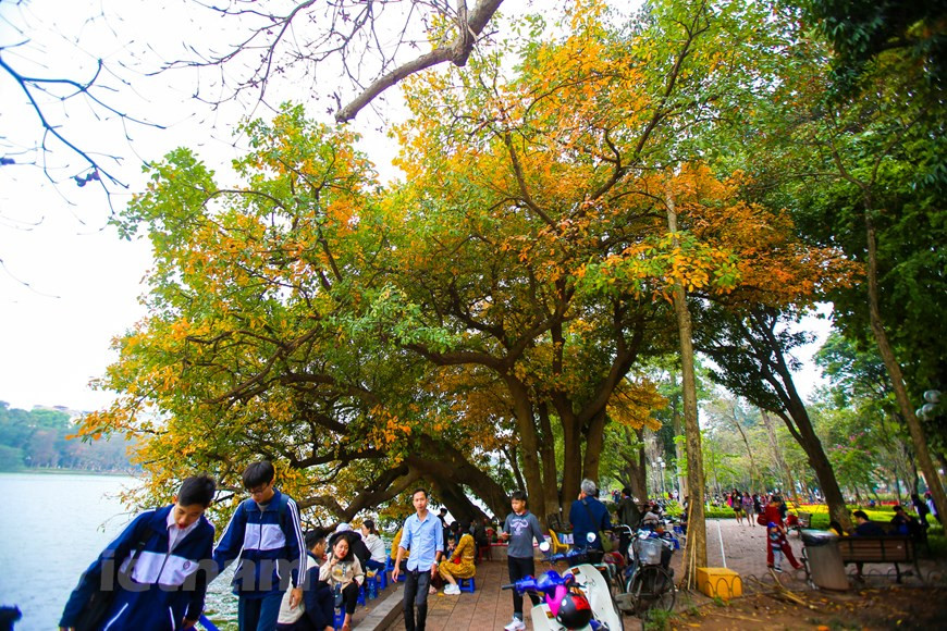 Photo : The Dai/Vietnam+ 