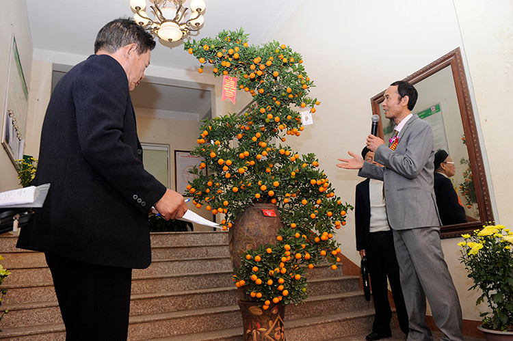 Les kumquats naissent d'un pot en céramique sous la forme d'un dragon en flèche.
