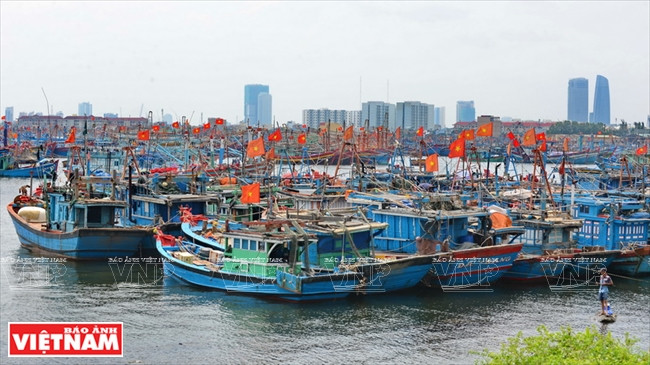 Des bateaux de pêche de Da Nang.