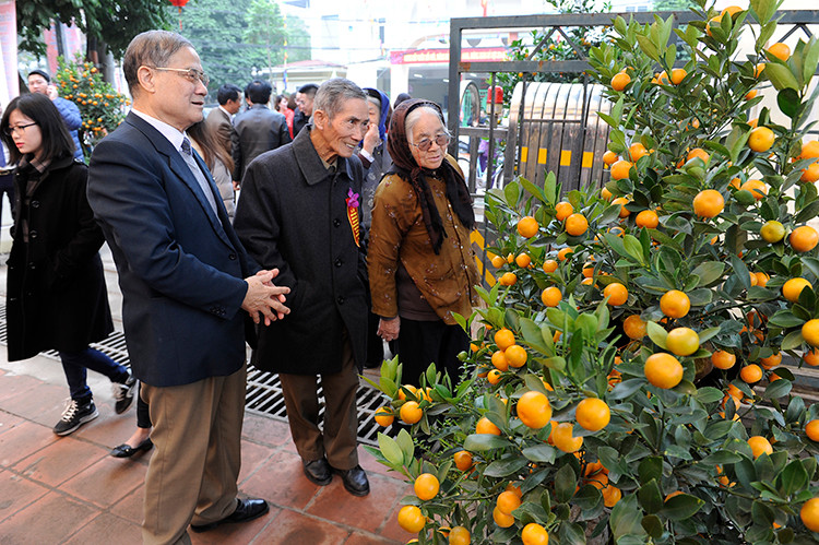 Les personnes âgées du village de Tu Liên se réjouissent de la pérennité des activités de culture de kumquats et de leur prospérité.
