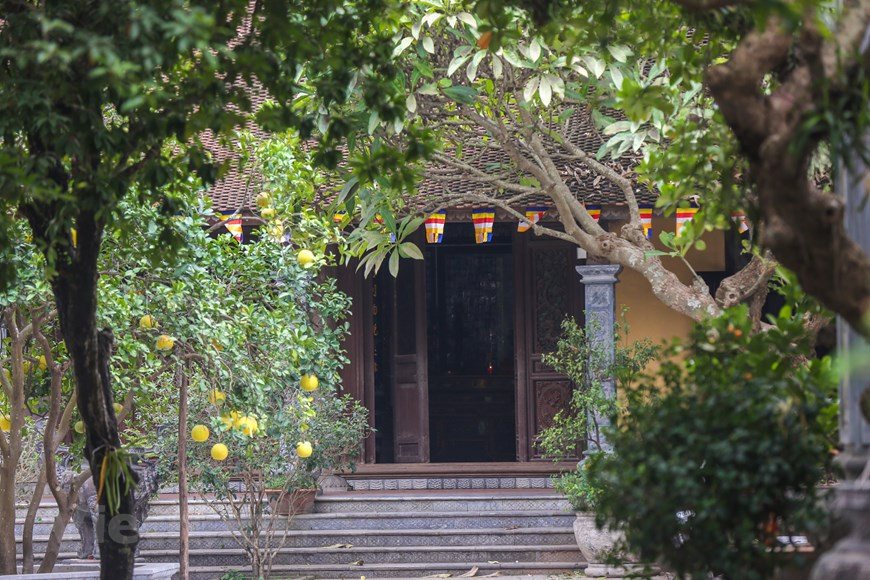 Photo : Minh Son/ Vietnam+