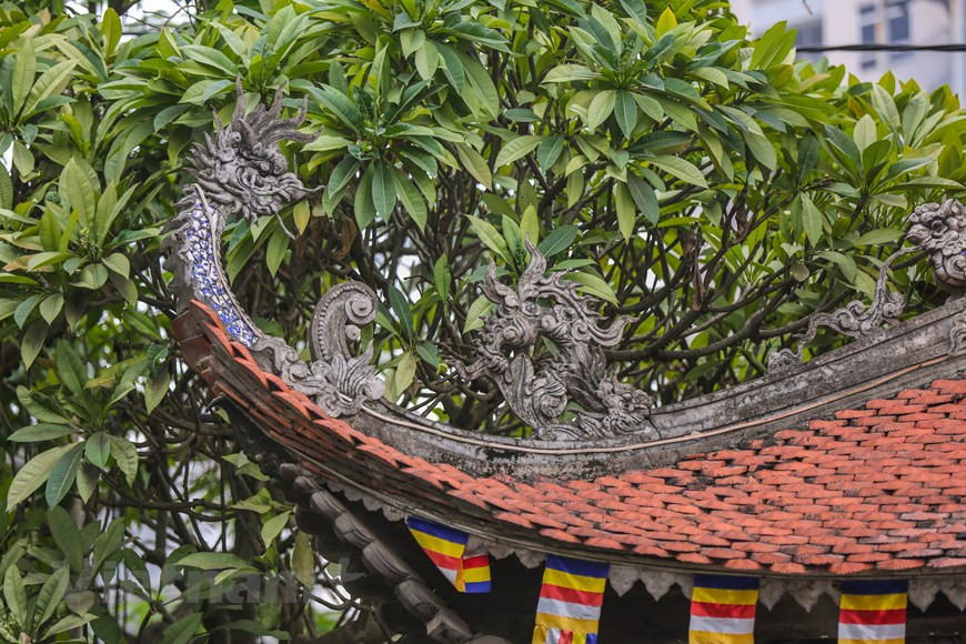 Photo : Minh Son/ Vietnam+