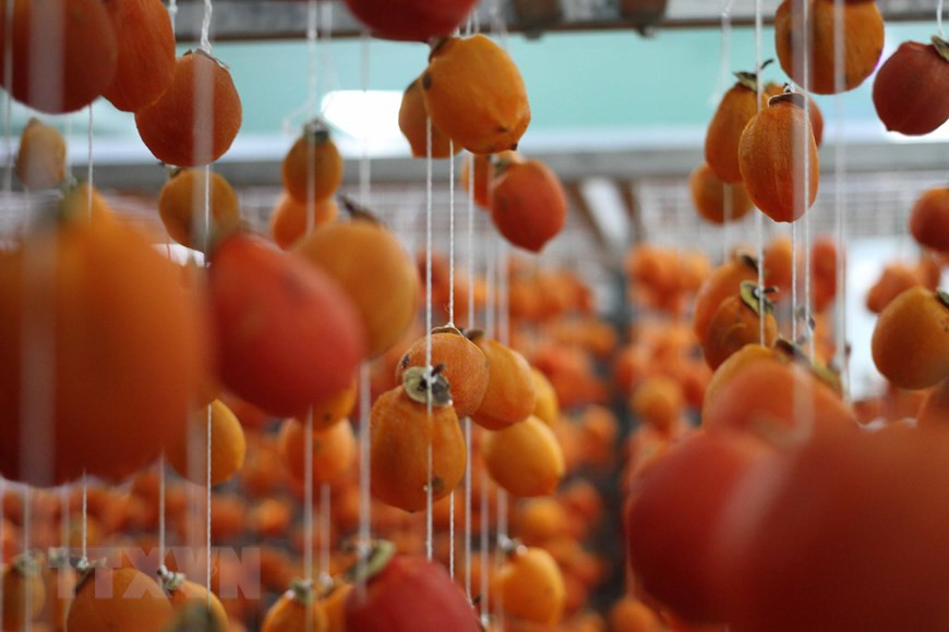 Outre la transformation de kakis, cette usine produit chaque année de 150 à 180 tonnes d'autres fruits. Des kakis sont séchés. Photo: VNA