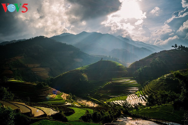 Crépuscule sur les rizières 