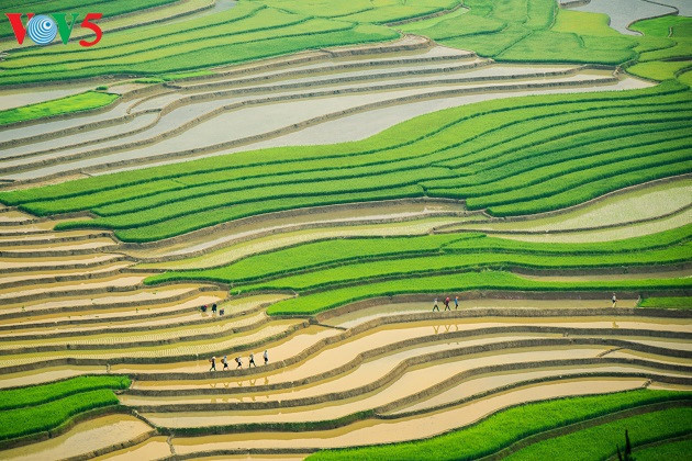 Retour au bercail après une dure journée de labeur 
