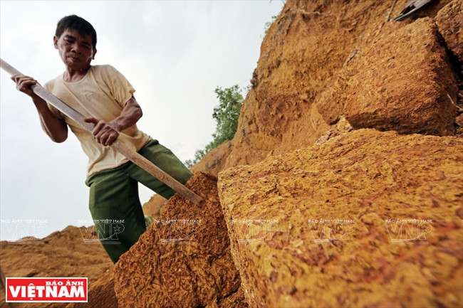  Des latérites taillées en briques de construction, en forme d’animaux…