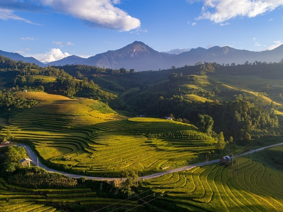 Sapa (province de Lao Cai, Nord-Ouest) est aussi belle qu'une image lorsque les champs en terrasses passent progressivement du vert au jaune.