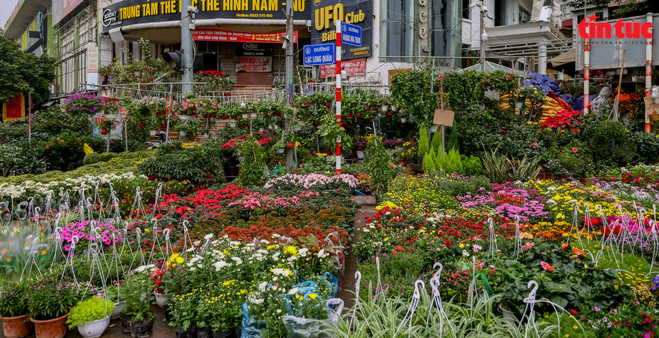 Le marché aux fleurs de Hoang Hoa Tham, également connu sous le nom de rue des bonsaïs, devient une destination de prédilection des amoureux des fleurs et des plantes d’agrément. 