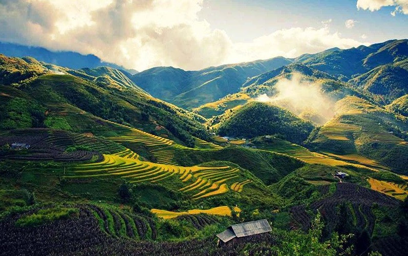 La beauté majestueuse et poétique des montagnes et forêts de Dien Bien. 