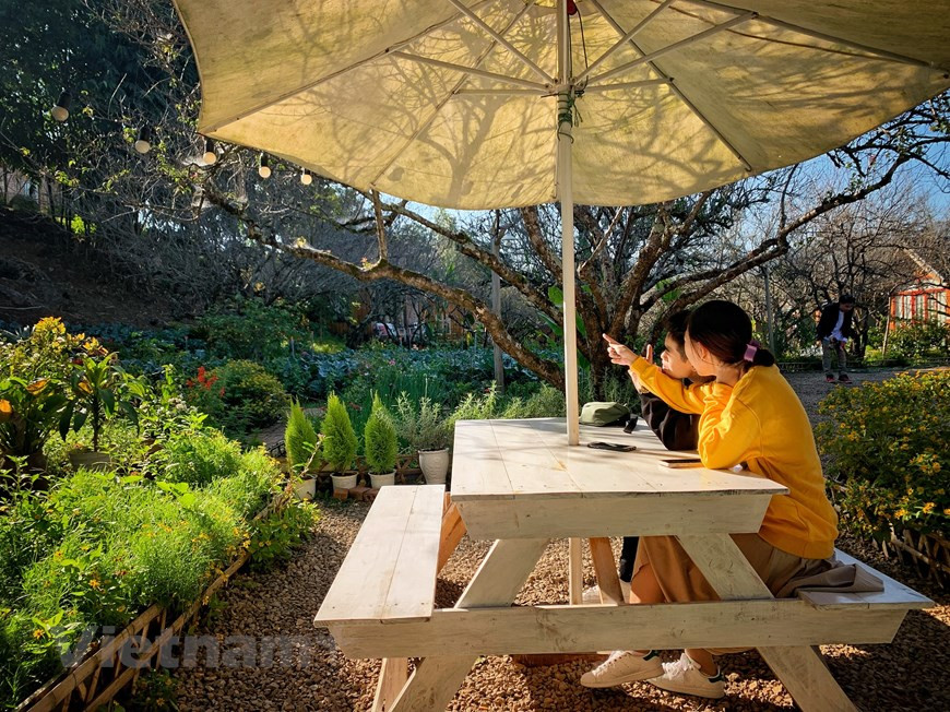 Le séjour chez l’habitant se multiplie de plus en plus au Vietnam. Cela contribue à diversifier les services touristiques ainsi qu’à créer de nouvelles expériences pour les visiteurs afin de faire du Vietnam une destination attrayante. Pour vraiment comprendre un pays et son peuple, il faut aller à la campagne et découvrir la vie du village. Pour les voyageurs, séjourner chez l’habitant est une bonne option. Les villages qui vous accueillent sont généralement superbes, situés entre les rizières en terrasses et des flancs de montagne escarpés. Visiter les villages sera un moment fort de votre voyage et il serait sage d’y passer la nuit pour en profiter pleinement. 