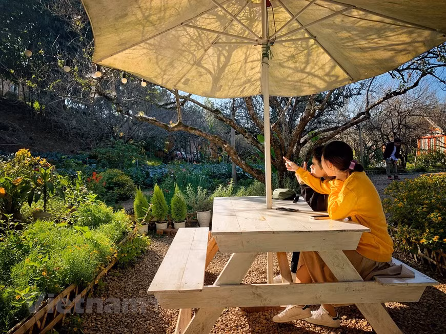 Le séjour chez l’habitant se multiplie de plus en plus au Vietnam. Cela contribue à diversifier les services touristiques ainsi qu’à créer de nouvelles expériences pour les visiteurs afin de faire du Vietnam une destination attrayante. Pour vraiment comprendre un pays et son peuple, il faut aller à la campagne et découvrir la vie du village. Pour les voyageurs, séjourner chez l’habitant est une bonne option. Les villages qui vous accueillent sont généralement superbes, situés entre les rizières en terrasses et des flancs de montagne escarpés. Visiter les villages sera un moment fort de votre voyage et il serait sage d’y passer la nuit pour en profiter pleinement. 