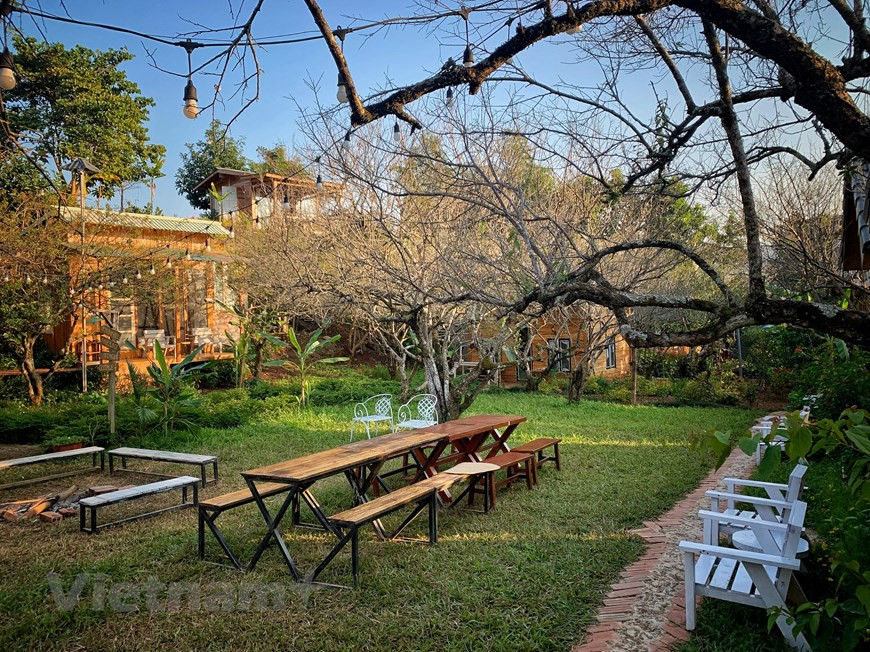 Profitant de la beauté naturelle et du climat frais toute l'année, les habitants à Moc Chau développent des produits et services touristiques communautaires et fournissent des services d'hébergement chez l'habitant (homestay) pour répondre à la demande de nombreux touristes. Le climat tempéré et les conditions pédoclimatiques sont favorables à la culture de nombreuses plantes, notamment le thé. Les collines de thé en forme de cœur à Moc Chau sont des attractions touristiques appréciées, en particulier des jeunes. Une fois arrivée à cette localité, les visiteurs peuvent admirer d'immenses parcelles de thé vert et aussi louer ou acheter des costumes traditionnels colorés des ethnies locales pour prendre des photos. 