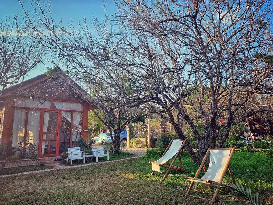 Moc Chau est depuis longtemps l'une des destinations les plus attrayantes de la région Nord. Le plateau a quatre saisons avec un temps doux. Il a également de nombreux établissements d’hébergement. Cependant, pour obtenir un hébergement de qualité pendant la haute saison, il est conseillé aux touristes de faire une réservation à l'avance. Le prix d'une chambre est d'environ 200 000 à 300 000 dongs par nuit mais il existe de nombreux hébergements avec des tarifs plus bas. Certains homestays préférés des visiteurs sont Mama's House, Le Chalet du Lac, Fairy House Moc Chau, House By Lake, The Nordic Village, Moc Chau Retreat... Les tarifs varient de 300.000 à 1 million de dongs par nuit. Pour explorer Moc Chau, les visiteurs peuvent effectuer un voyage rapide de deux jours mais un séjour de 3 à 4 jours est le meilleur.