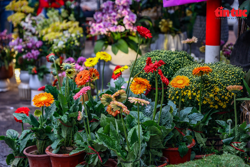 Le marché aux fleurs de la rue Hoang Hoa Tham est toujours animé. 