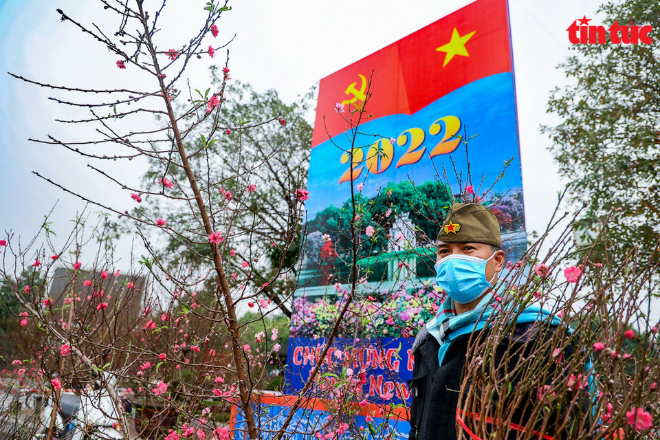 La rue Lac Long Quan devient la rue des fleurs de pêchers à l’approche du Têt.