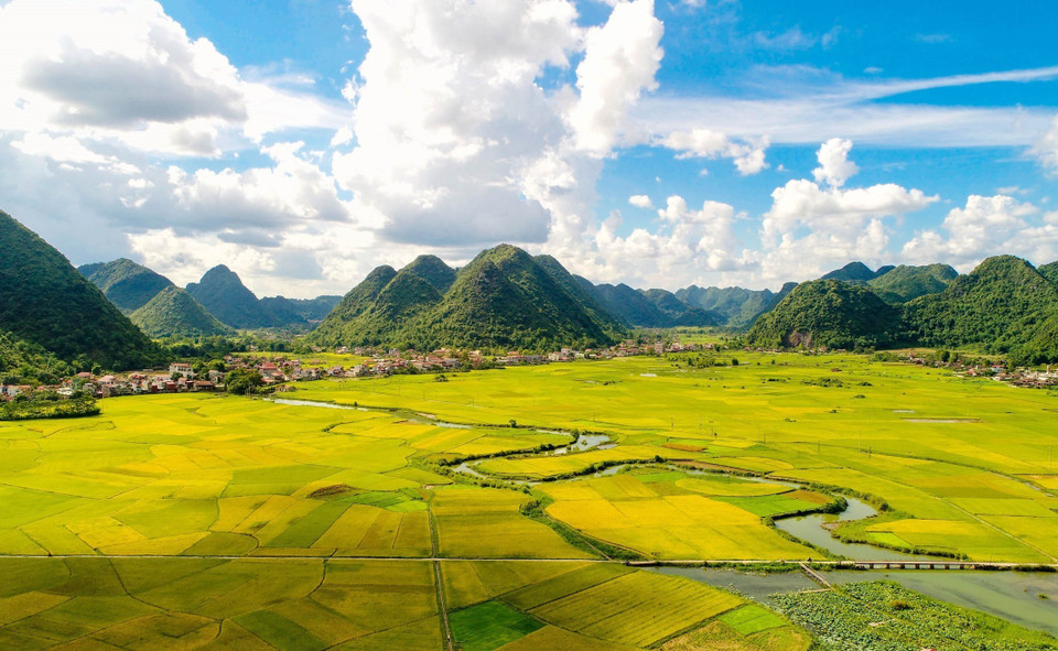 En juillet et novembre, à la saison du riz mûr, les rizières de la vallée de Bac Son (district éponyme, province de Lang Son) se parent d’une beauté époustouflante. 