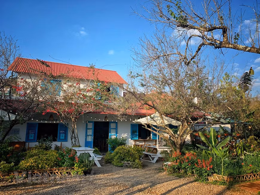 Le homestay (vivre chez les habitants locaux) se pratique souvent dans les villages de métiers traditionnels, en zone rurale. L'occasion de se retrouver en pleine nature, entre eaux douces, champs et forêts. Au Nord, le homestay est surtout en usage dans les vallées de hautes montagnes ou au milieu des rizières. Au Centre, les amateurs vont également au cœur des champs de riz, mais aussi à proximité des rivières. Au Sud, les touristes séjournent plutôt dans les villages de pêche du delta du Mékong. Les activités de loisirs les plus répandues sont surtout la découverte des randonnées dans les forêts et des cascades, les baignades en rivière ou les visites touristiques dans les villages. Les voyageurs peuvent alors se rendre sur les marchés pour mieux appréhender la culture locale. Les formules d’accueil sont multiples : participer aux travaux champêtres, fabriquer des produits artisanaux, ou faire ripaille avec les gens locaux, etc. 