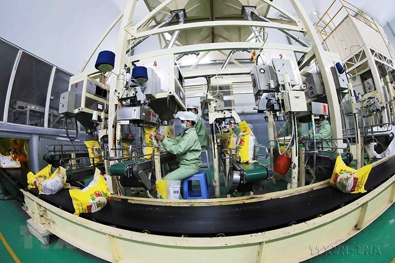 Le groupe Loc Troi, un pionnier dans la construction de la chaîne de valeur du riz au Vietnam, possède actuellement 5 usines d'une capacité de 200.000 tonnes/an. Photo: VNA 