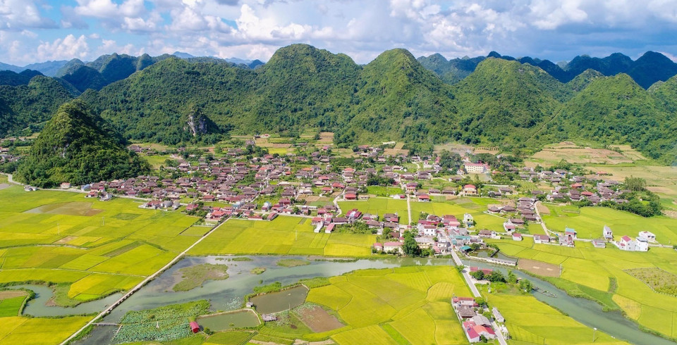 En juillet et novembre, à la saison du riz mûr, les rizières de la vallée de Bac Son (district éponyme, province de Lang Son) se parent d’une beauté époustouflante.