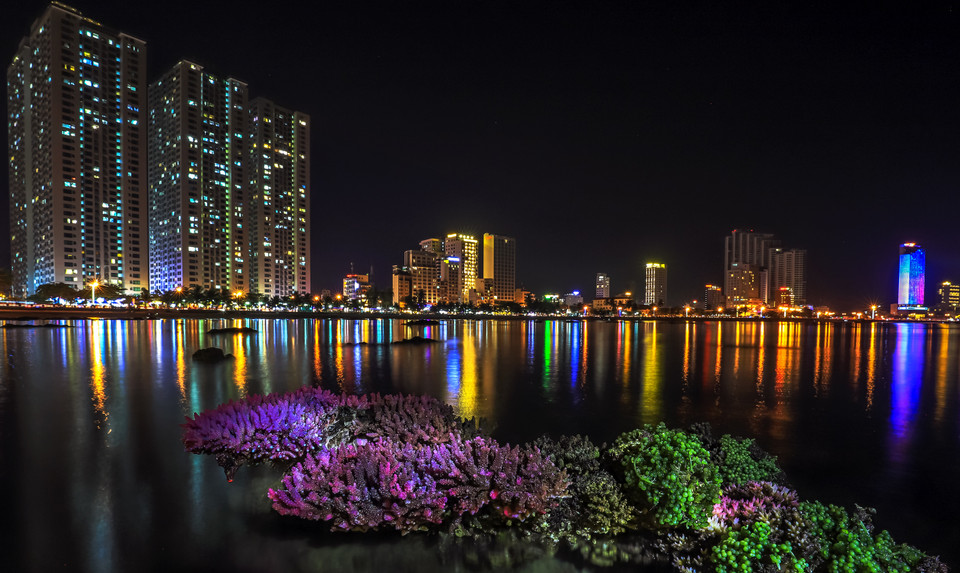 La ville de Nha Trang devient encore plus belle à la saison des coraux. 