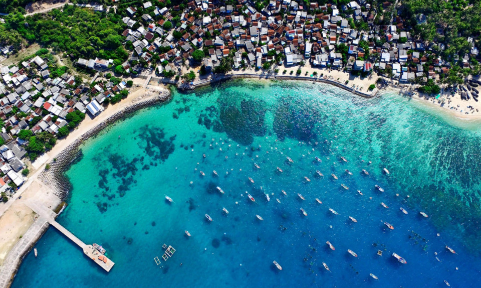 Cu Lao Xanh (île de Van Phi) est située près de la baie de Xuan Dai, dans la commune de Nhon Chau​, ville de Quy Nhon, province de Binh Dinh.