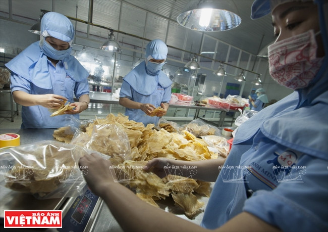 Traitement du thon séché pour l’exportation dans la Sarl Anh Minh Quân.