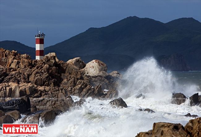 Paysages spectaculaires dans la commune d'An Chan, district de Tuy An.