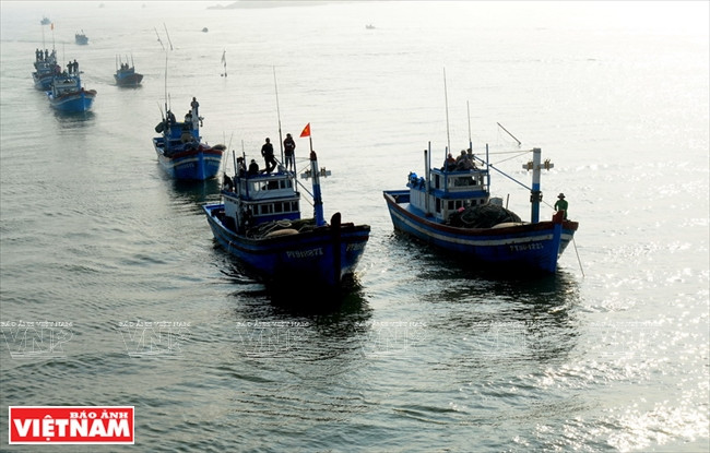 Phu Yen a été le premier lieu dans le pays où a débuté la pêche hauturière au thon, qui a non seulement apporté des revenus conséquents à la population locale mais aussi contribué à la défense de la souveraineté nationale sur son territoire maritime et insulaire.