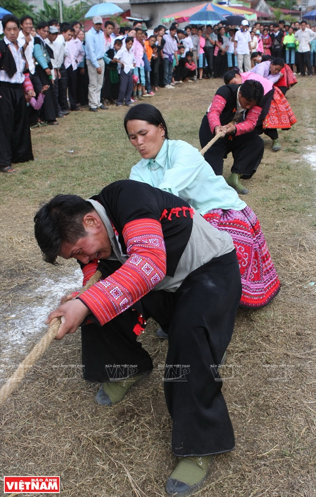 Quant aux H’mông de la province de Son La, le tir à la corde est organisé à l’occasion des échanges entre les lignées, les communes et villages de la région.