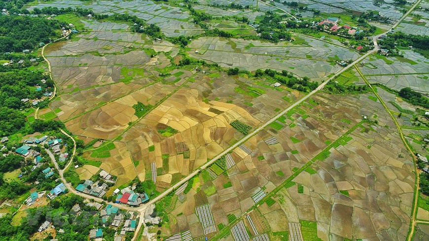 Le hameau de Chien est situé à 900 mètres au-dessus du niveau de la mer. Photo: Vietnam+