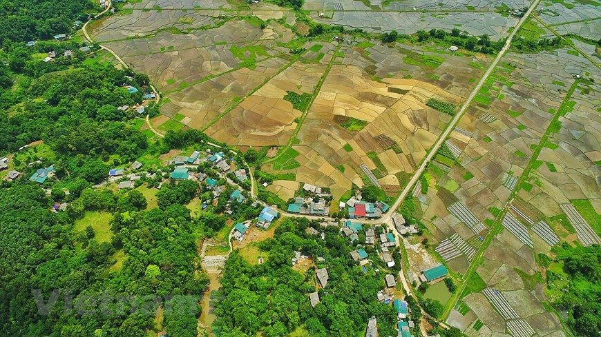 Ces belles photos ont été capturées avant la propagation de l'épidémie de COVID-19. Photo: Vietnam+