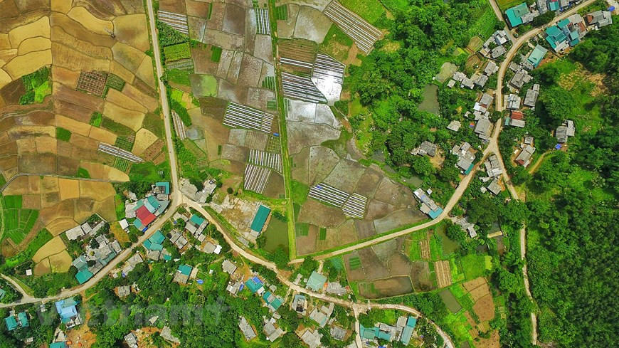 Grâce à une altitude élevée et à la diversité de l'écosystème, cet endroit bénéficie d'un climat frais toute l'année. Photo: Vietnam+