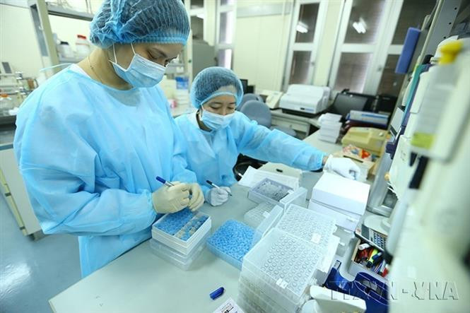 Le Vietnam a développé avec succès des kits de dépistage du SARS-CoV-2 qui atteignent la même qualité que les bioproduits de diagnostic, recommandés par l’Organisation mondiale de la santé. Photo : VNA