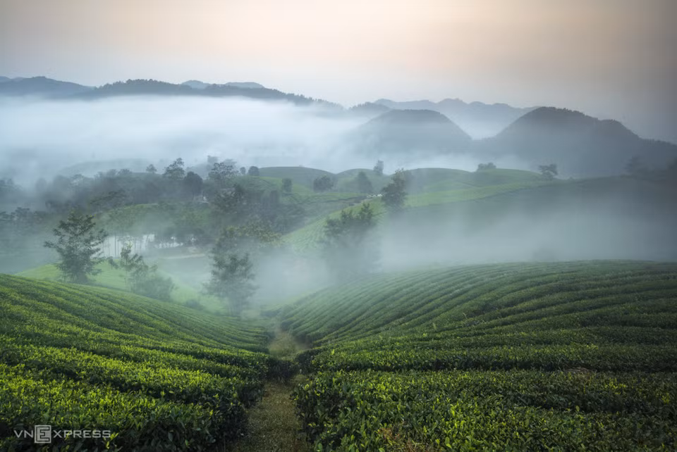 En visitant les collines de théier de Long Côc, un lieu qui n'est pas encore développé en termes de services, le tourisme est une occasion pour de nombreux gens de découvrir et de s'immerger dans la vie des habitants autochtones. Photo: vnexpress.net