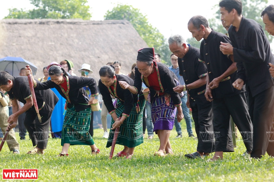 Rite d’ensemencement du riz. Photo: VNP
