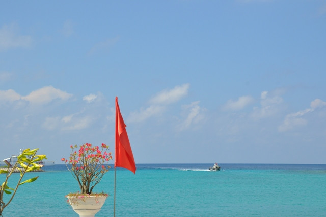  La beauté de l’île de Sinh Tôn.