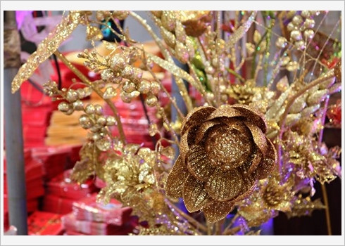 On dit que ces arbres dorés et argentés apportent chance et prospérité aux familles.