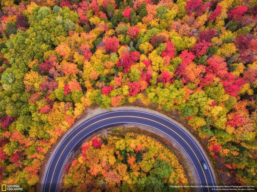 Tapis forêt coloré en automne dans le New Hampshire (États-Unis). 