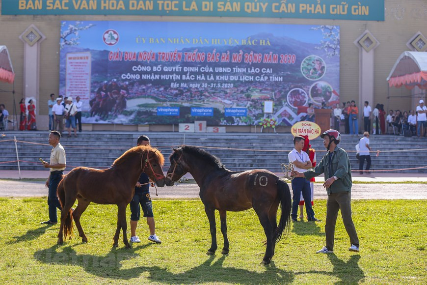 Dans la matinée du 31 mai, la finale de la course hippique de Bac Ha 2020 a officiellement eu lieu sur l’hippodrome de Bac Ha, district du même nom dans la province montagneuse de Lao Cai. Photo: VNA