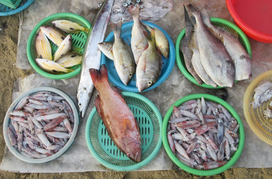 Des délicieux fruits de mer frais pêchés dans la mer de Binh Son - Ninh Chu sont vendus au bord de la mer aux résidents locaux et touristes. Photo: VNA