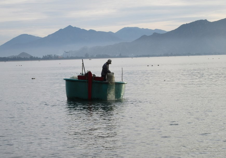 Un pêcheur attrapant des fruits de mer à Binh Son - Ninh Chu. Photo: VNA