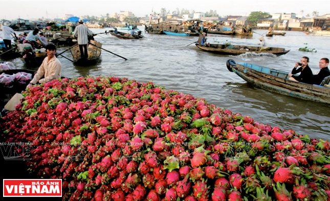 Le marché flottant Cai Rang à Can Tho où on vend et échange des fruits du delta du Mékong.