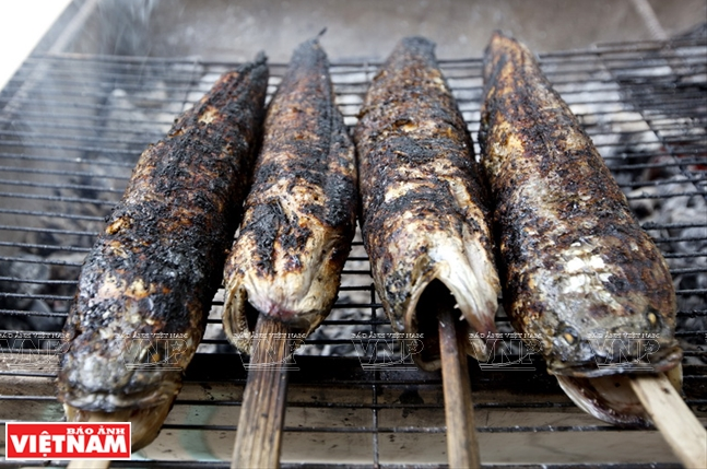 Des poissons grillés, une spécialité de la saison des vives eaux dans le delta du Mékong.