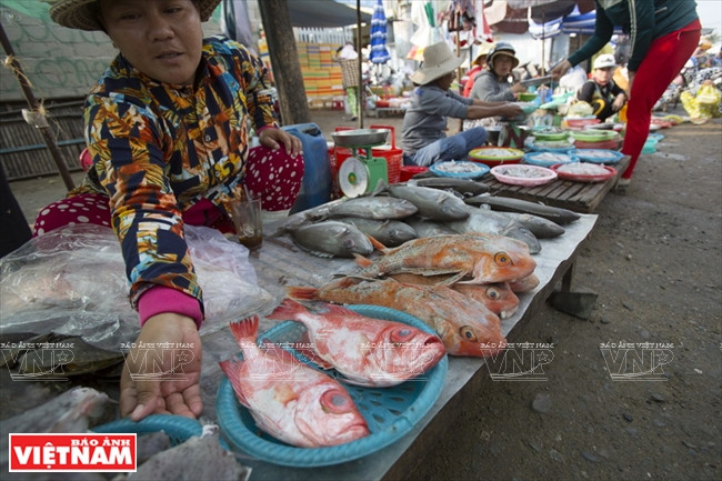  Marché aux poissons Lang Nai, province de Ninh Thuân. 